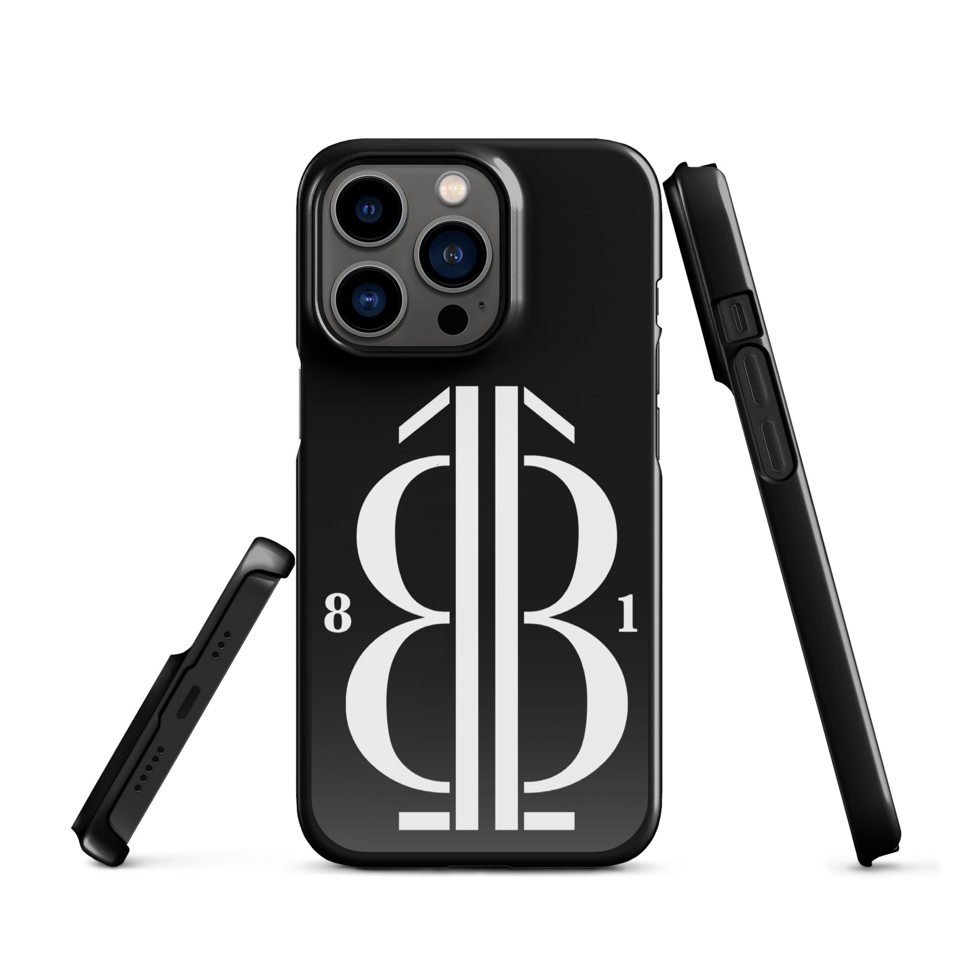OnlyNumbers iPhone case 81 iPhone 13 Pro